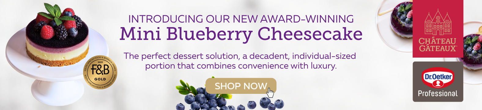 New Aware-Winning Mini Blueberry Cheesecake - The Perfect Desert Solution